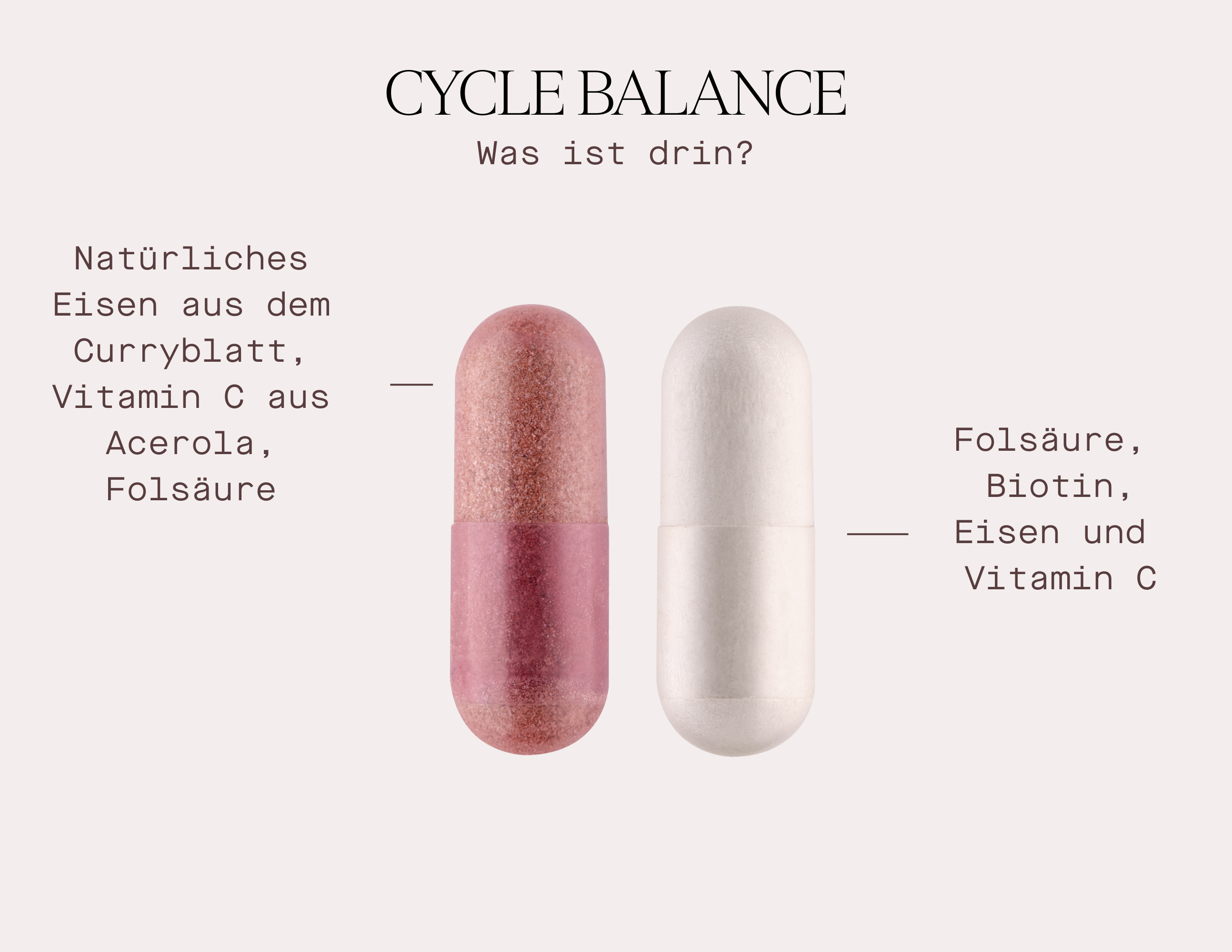 Cycle Balance - Nahrungsergänzungsmittel