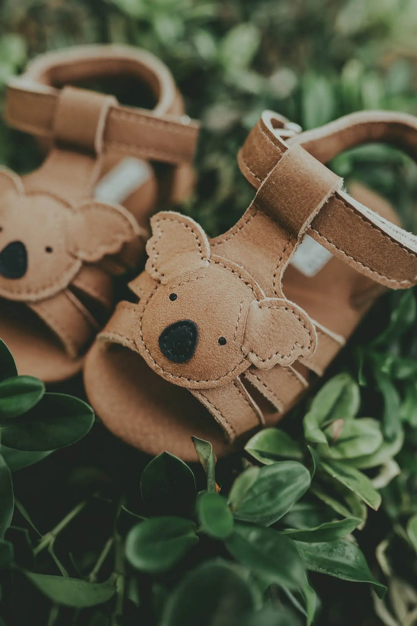 Donsje - Schuhe "Diedan Koala" | truffle nubuck Donsje