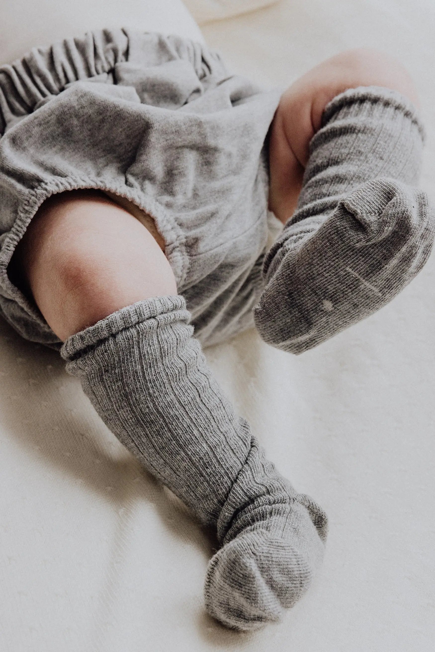 Gray Label - Socken "Long Ribbed Socks GOTS" | verschiedene Farben Gray Label