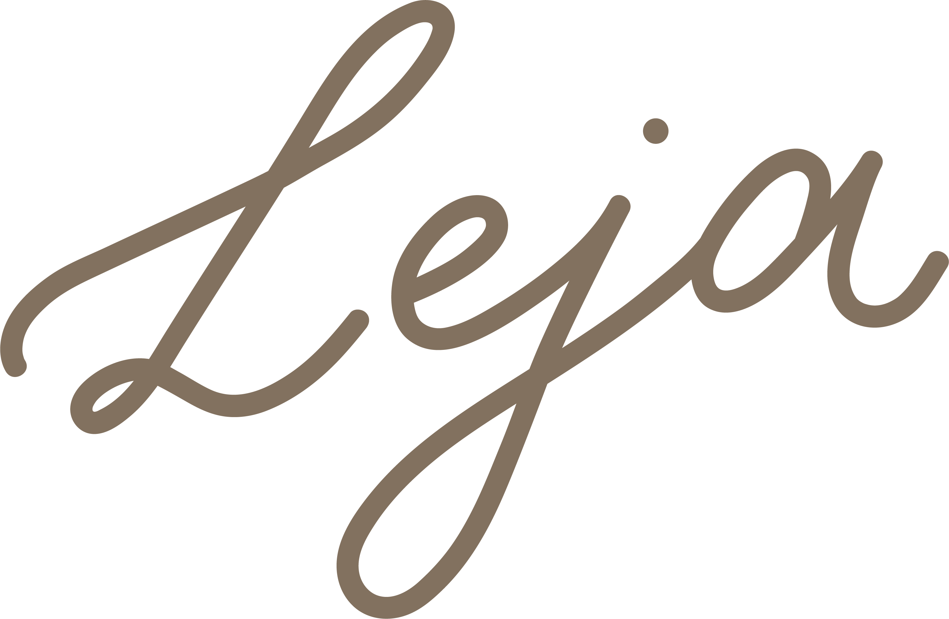 Leja Concept Store