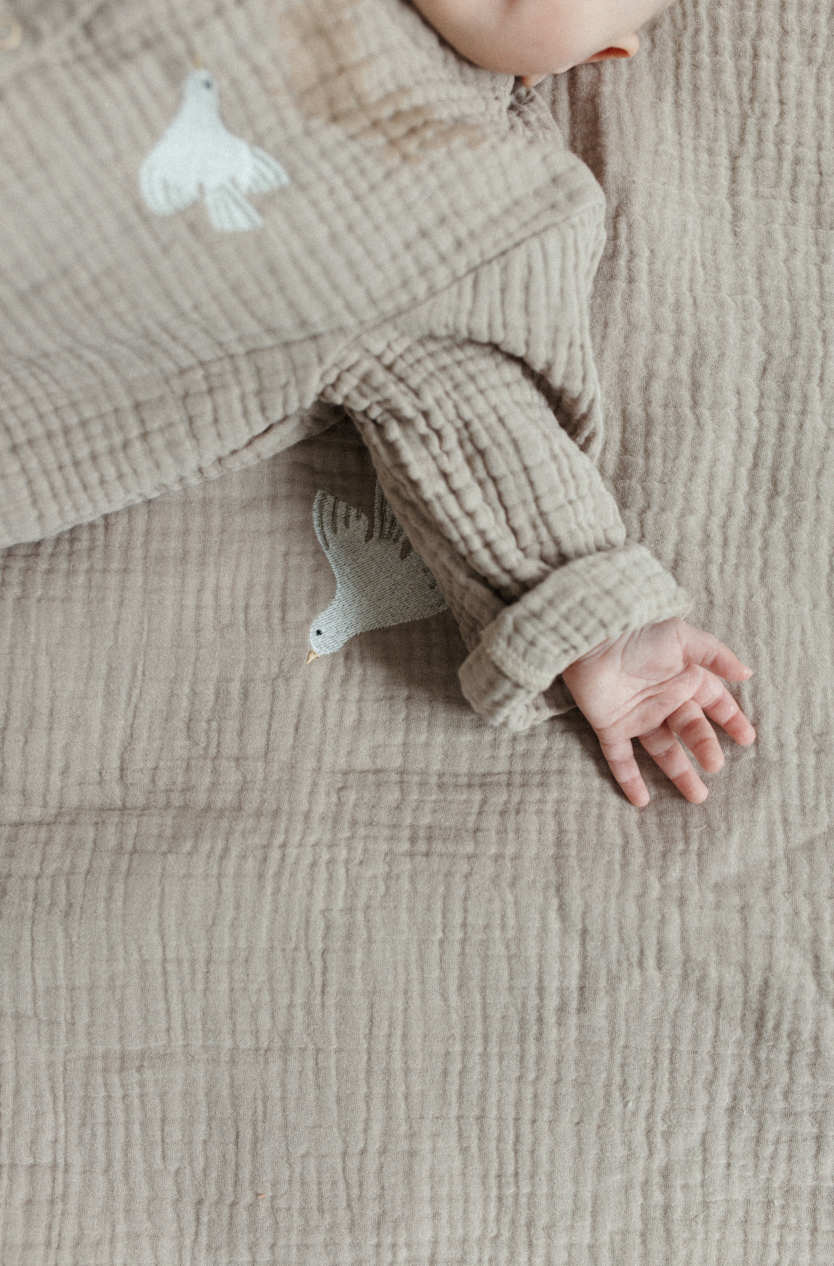 Melots - Spielmatte / Krabbeldecke "Vogel" | beige