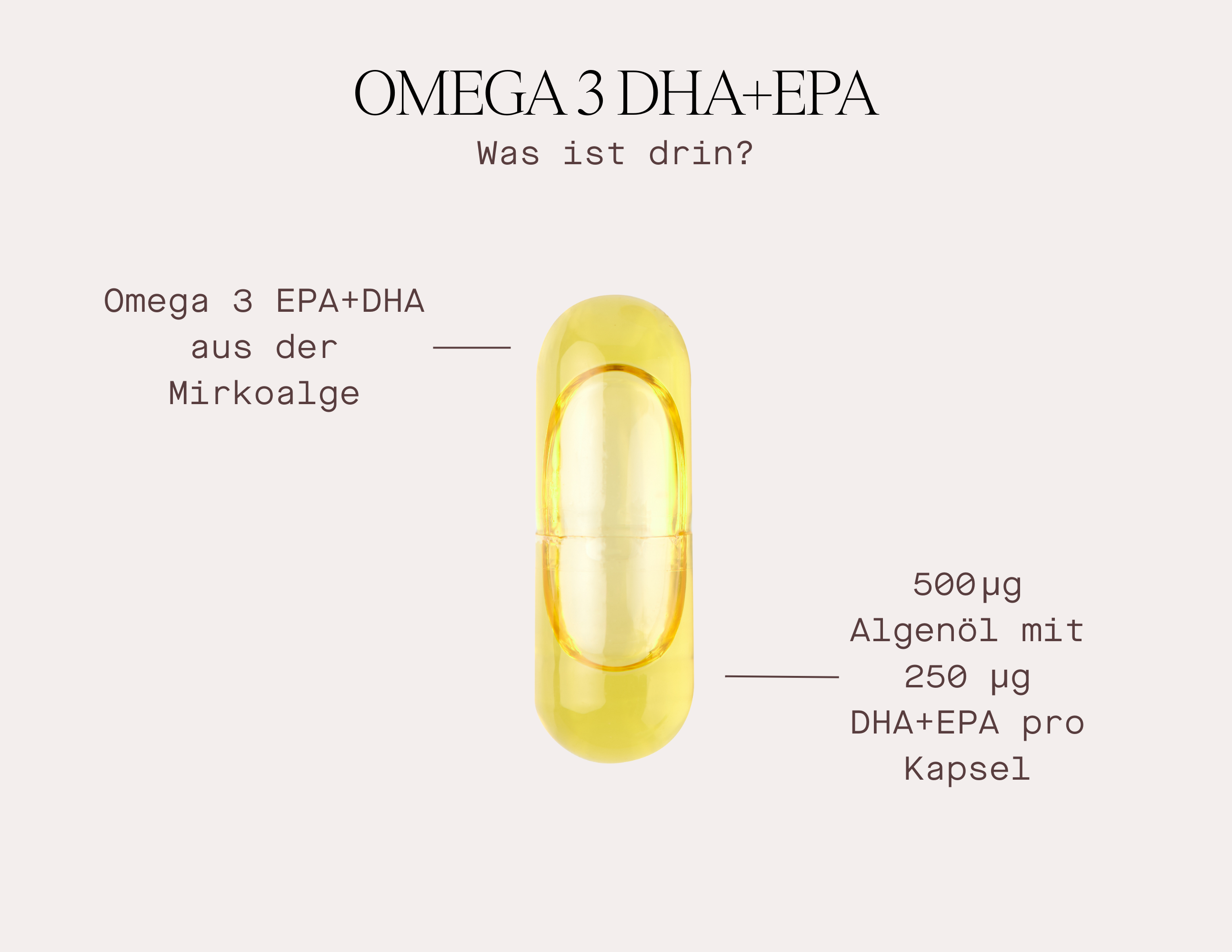 Omega 3 DHA+EPA 3 Monate - Nahrungsergänzungsmittel