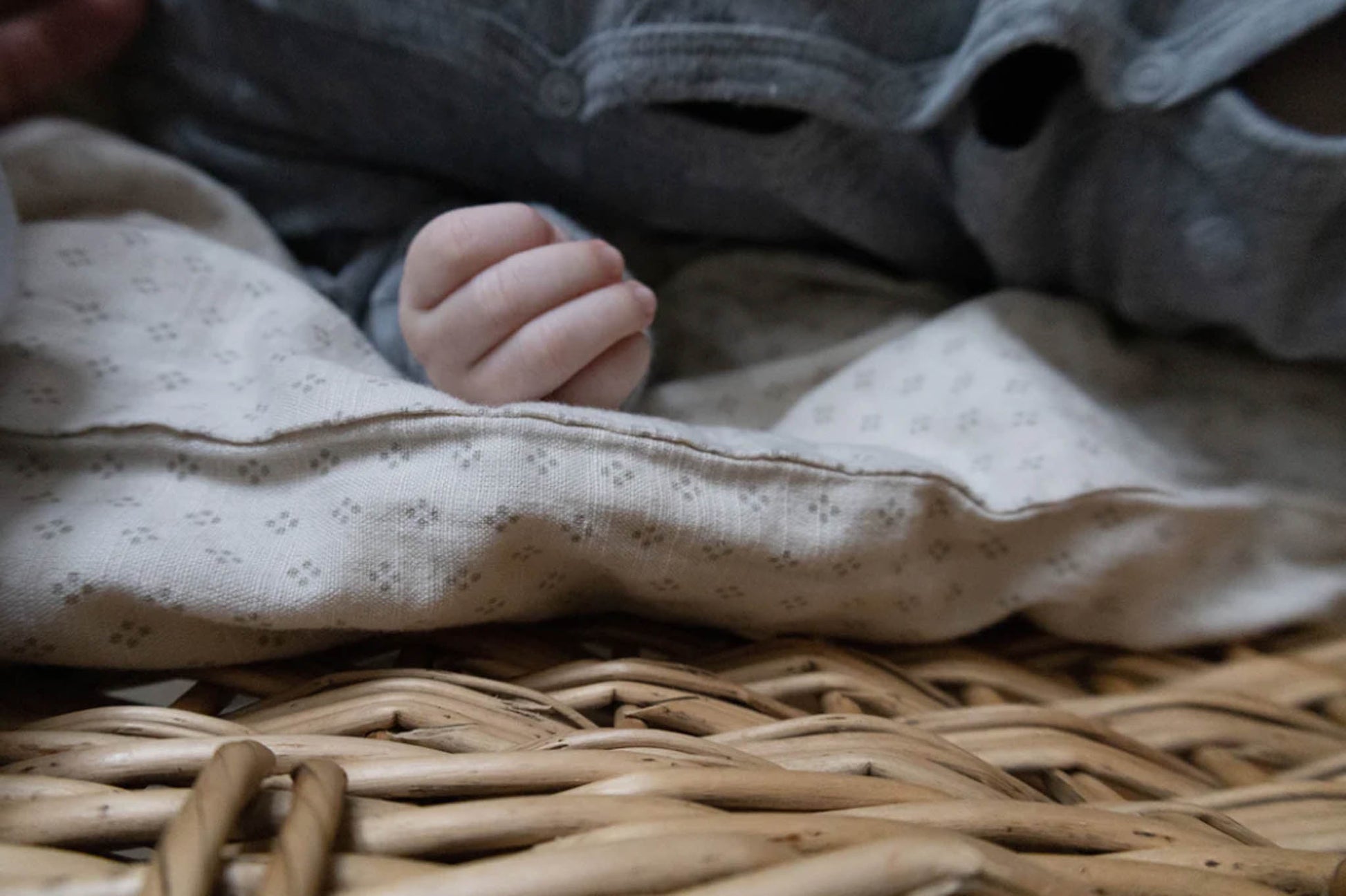 Pine Cone - Bettbezug Baby "Lucca" | natura dot - Leja Concept Store