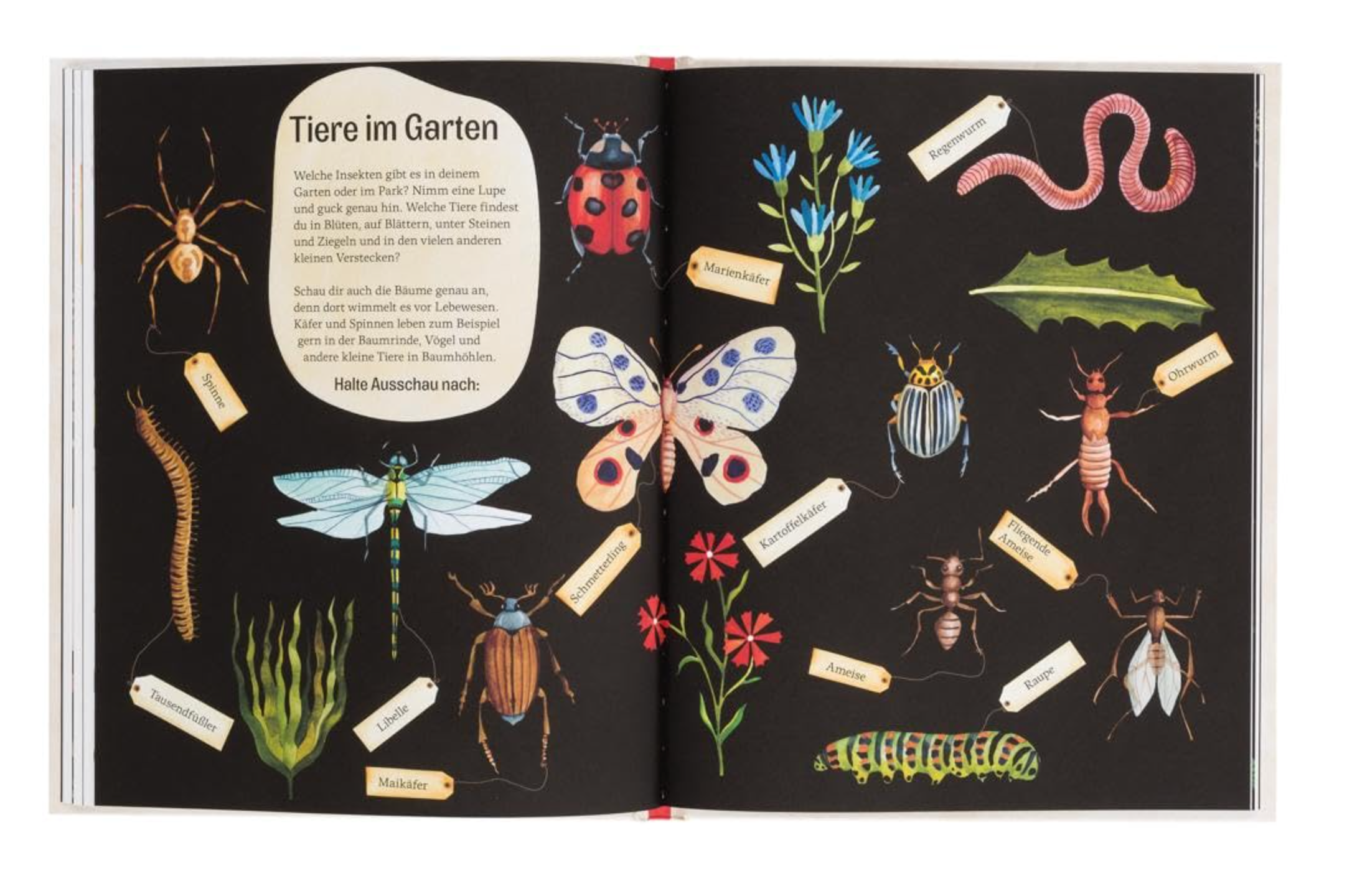 gestalten - Kinderbuch "Gründer wird´s nicht"