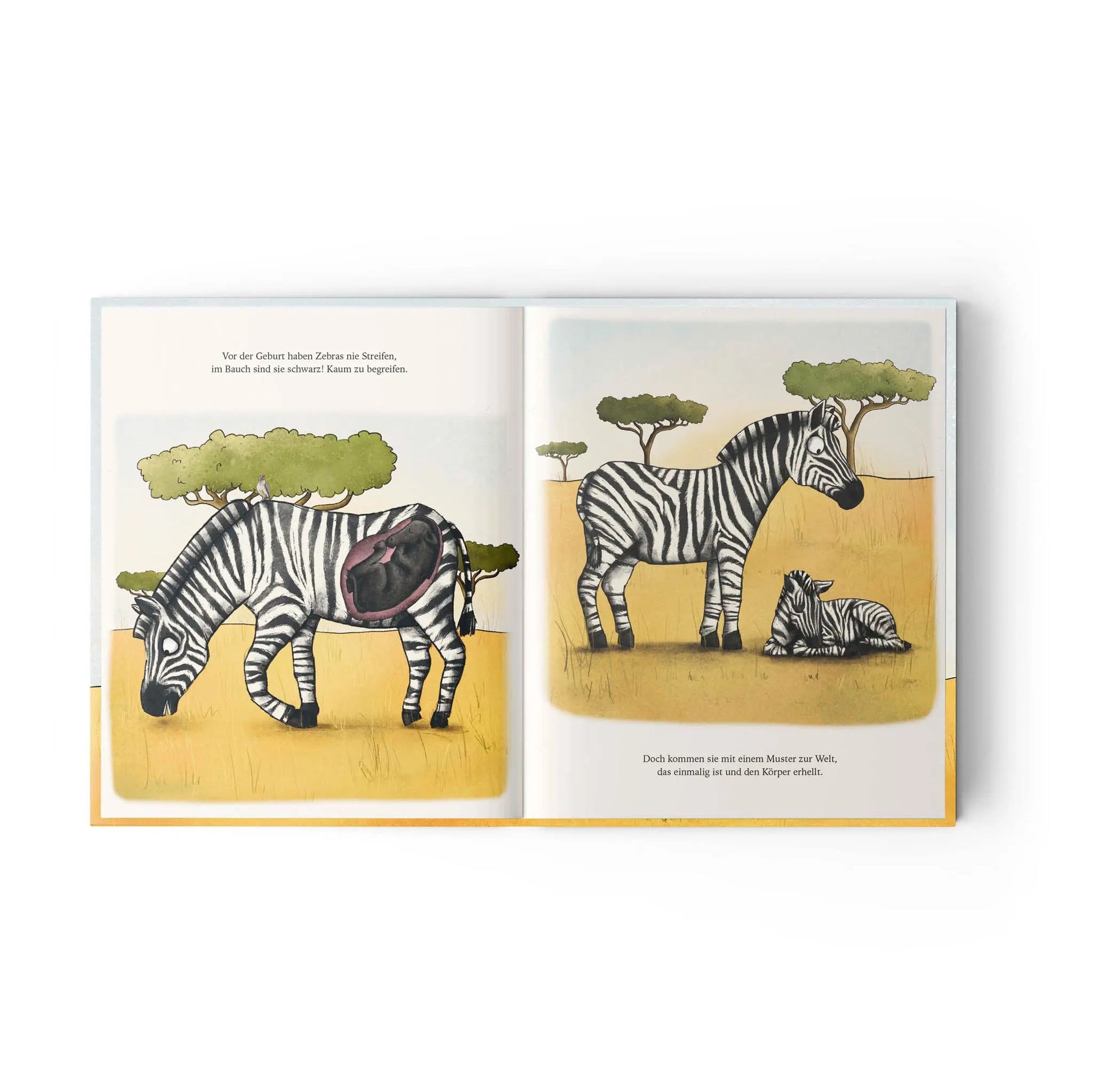 Jupitermond Verlag - Kinderbuch "Noomi, das streifenlose Zebra" Jupitermond Verlag