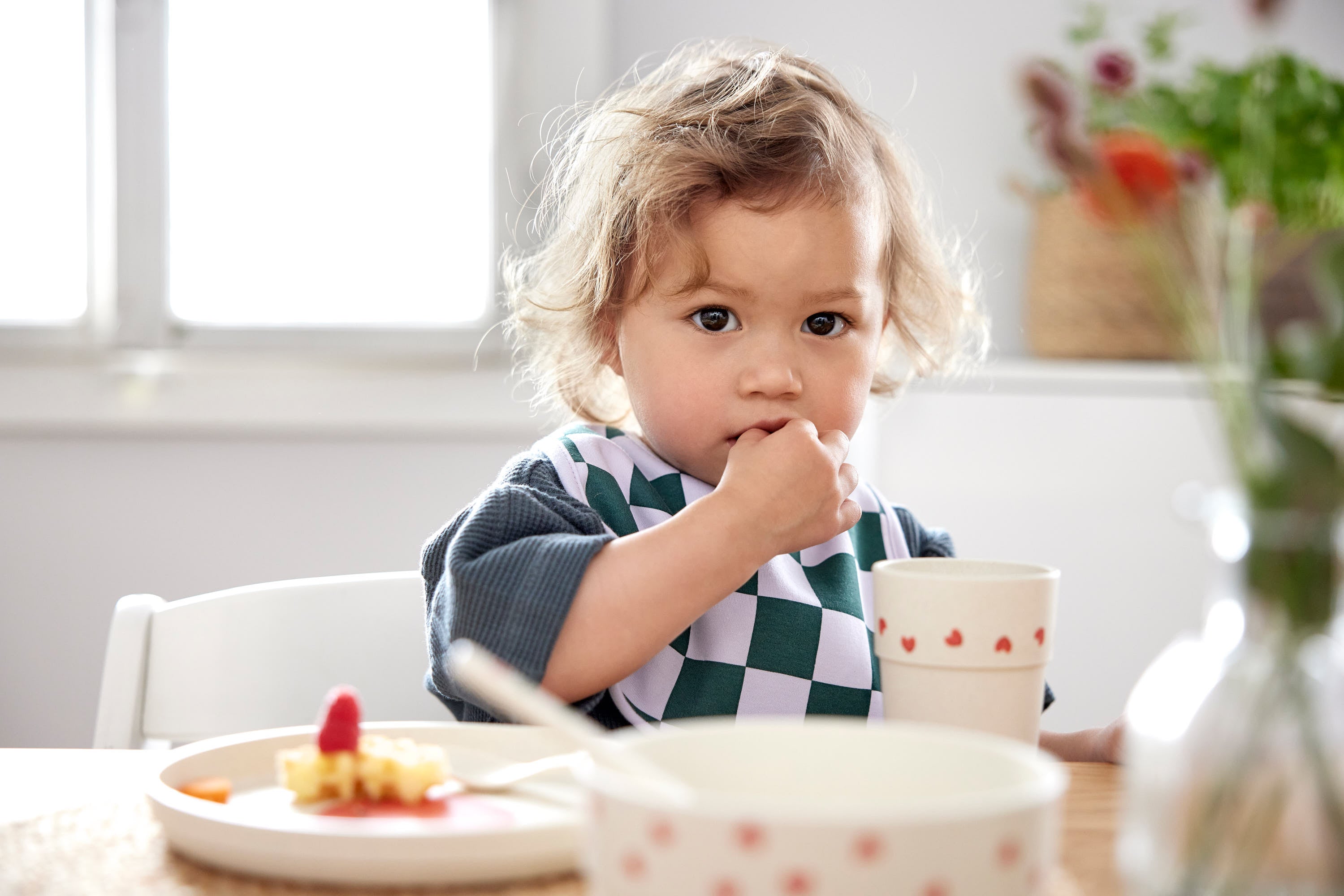 Lässig - Geschirrset "Dish Set PP/Cellulose Happy Rascals " | lavender