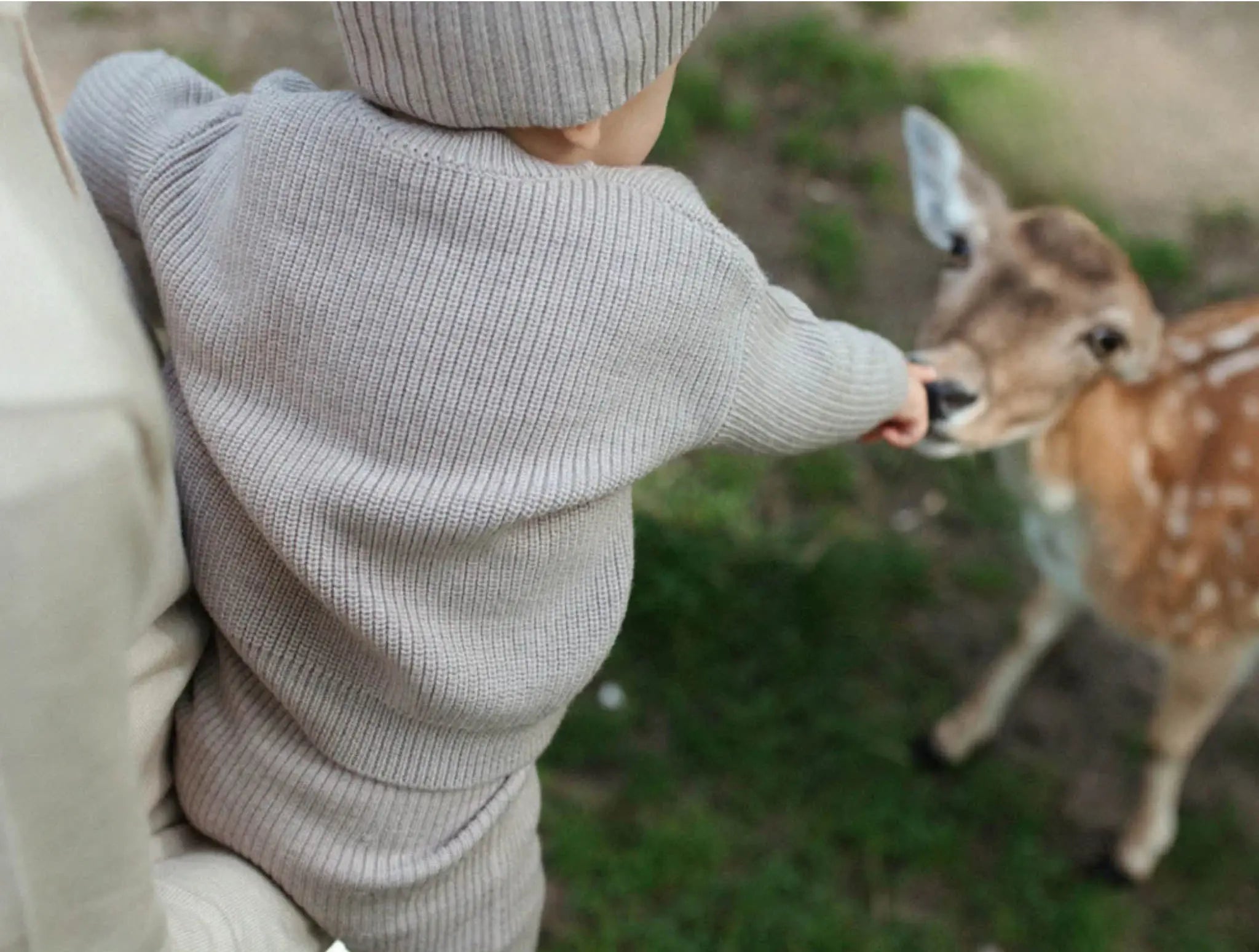 Lille Toni - Pullover "Paul" | camel melange Lille Toni