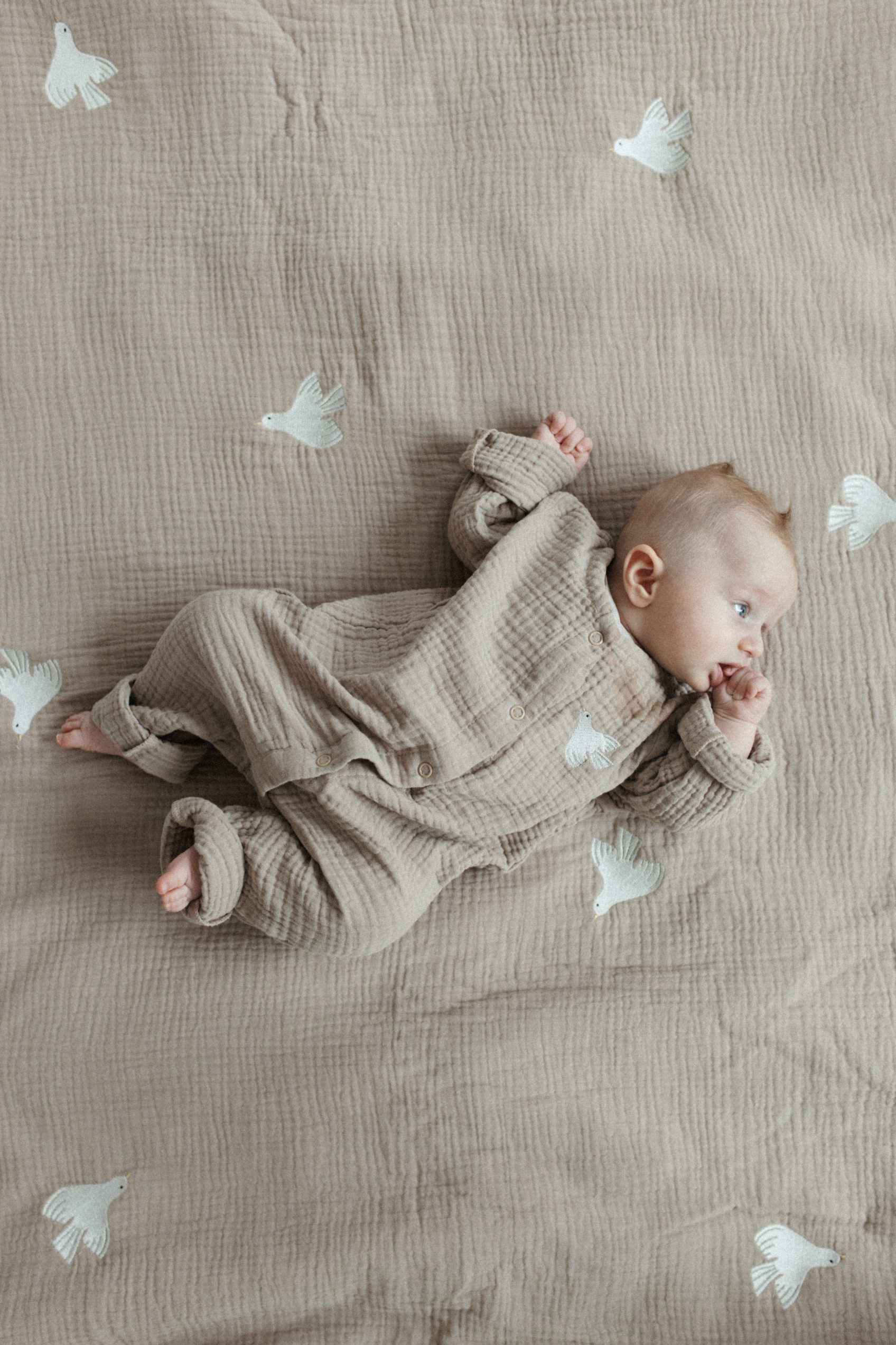 Melots - Spielmatte / Krabbeldecke "Vogel" | beige